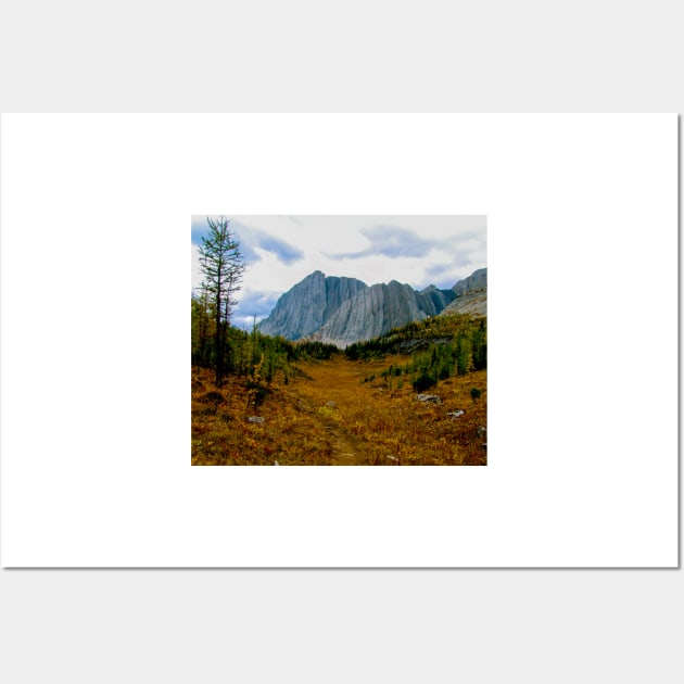 Kananaskis trail less travelled Wall Art by StevenElliot